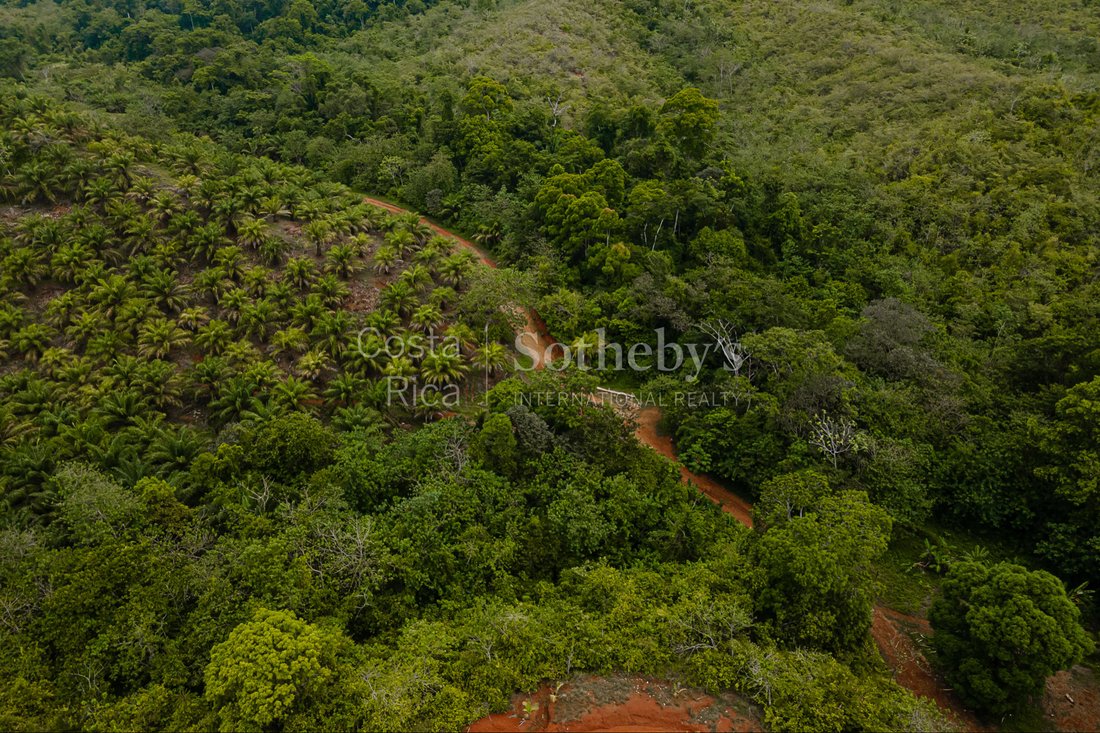 Ocean And River Views In Pristine In Florida, Puntarenas Province ...