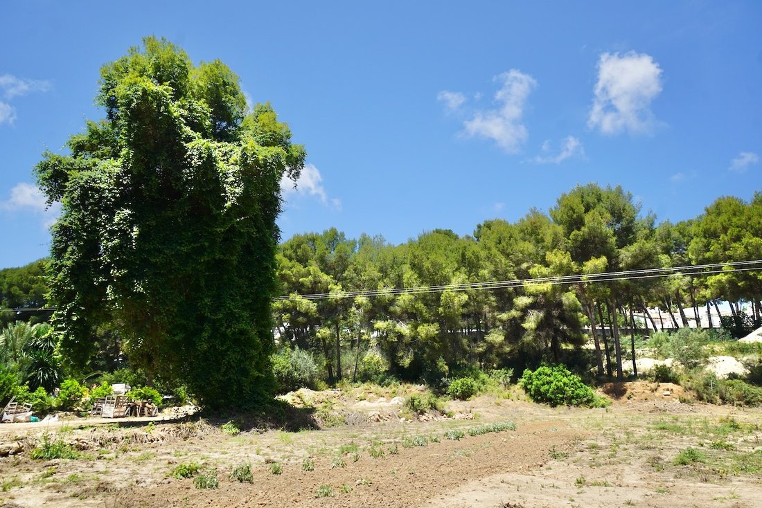 Land in Moraira, Teulada, Valencian Community 3 - 12918061