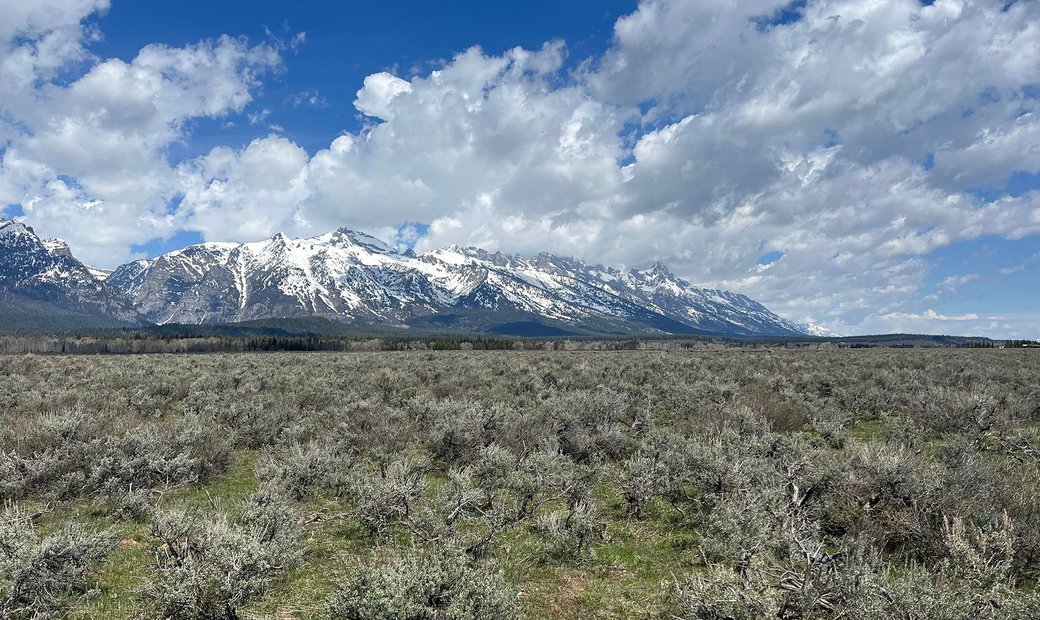North Centennial Drive In Jackson, Wyoming, United States For Sale