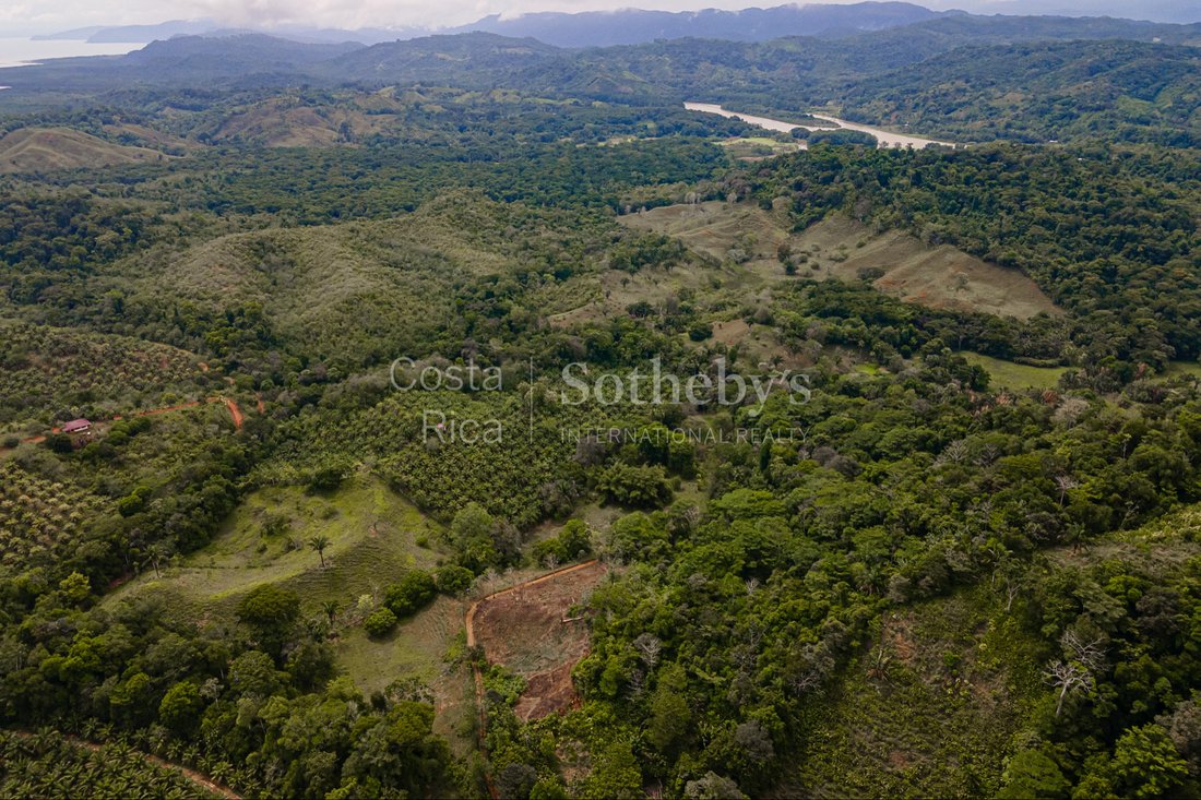Ocean And River Views In Pristine In Florida, Puntarenas Province ...