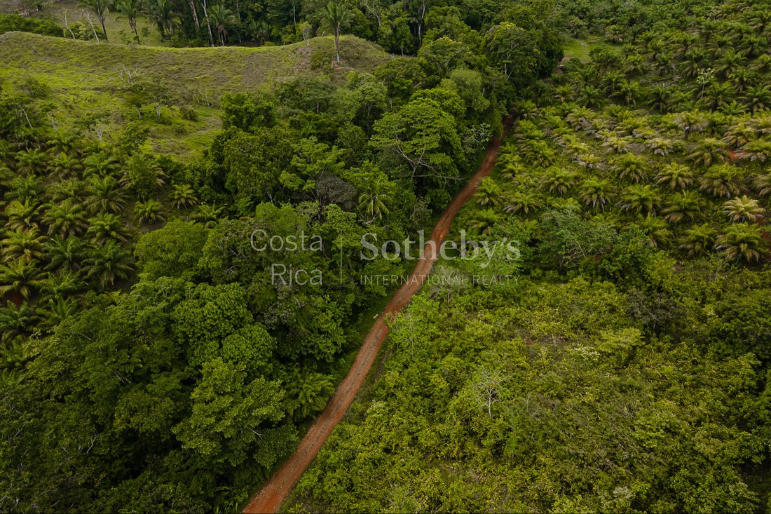 Ocean And River Views In Pristine In Florida, Puntarenas Province ...