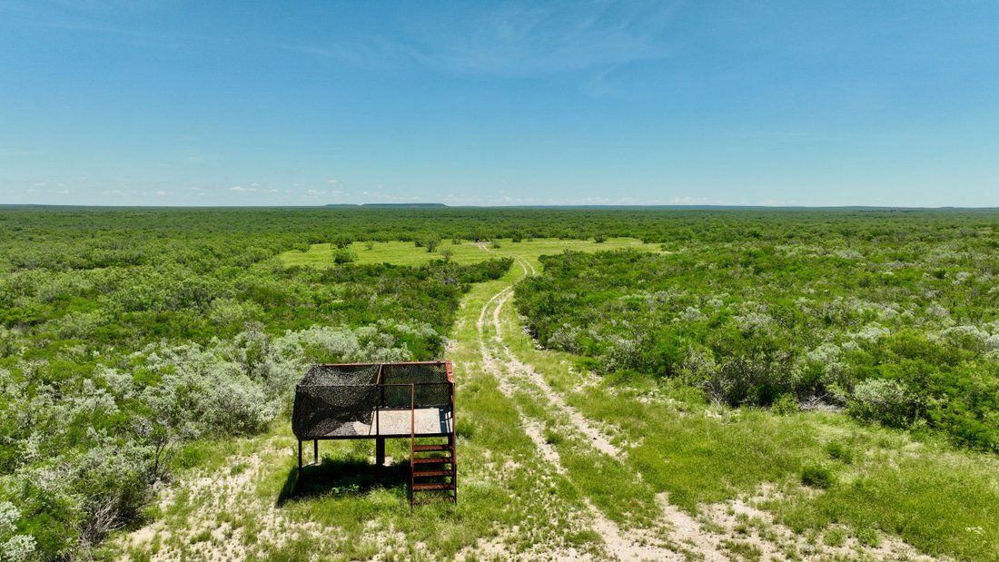3,093+/ Acres M.H. Wheeler Ranch, Mc Mullen In Tilden, Texas, United