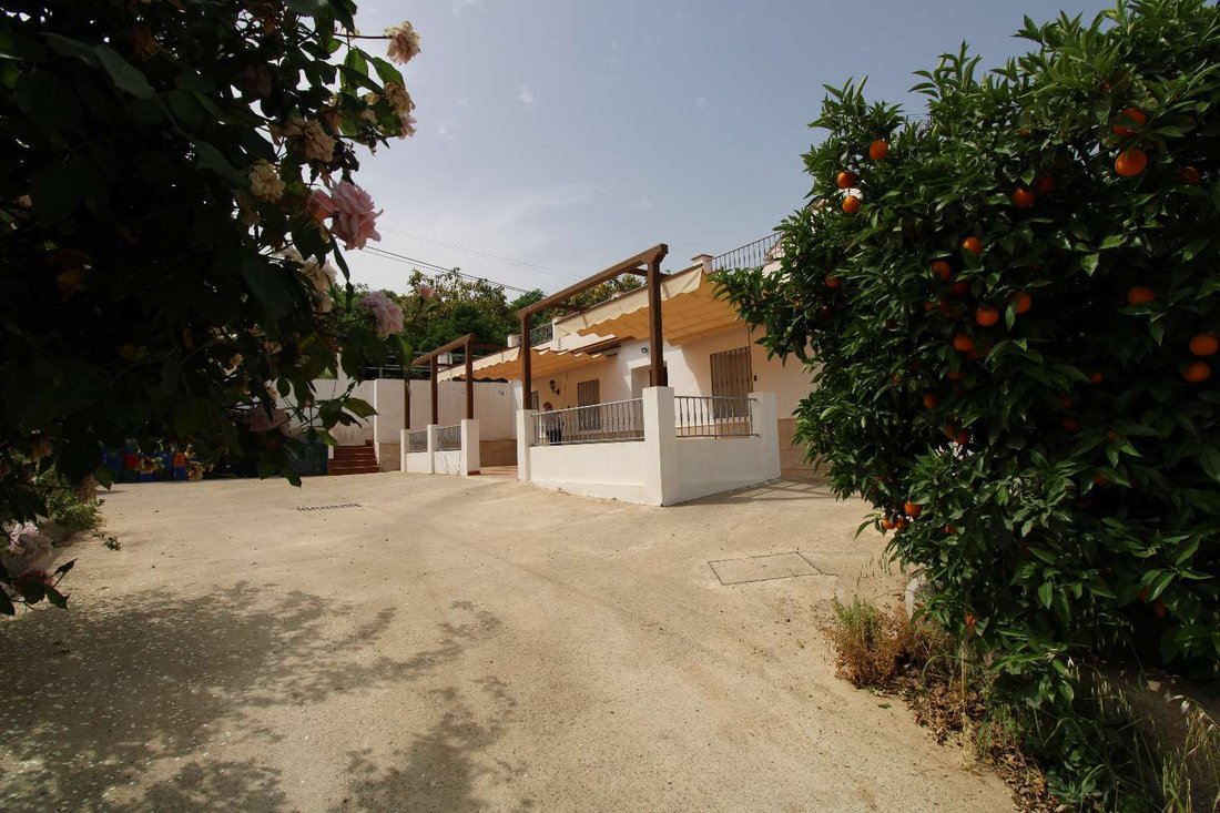Finca in Coin, Andalusia, Spain 5 - 12922665