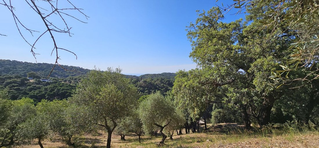 Land in Casares, Andalusia, Spain 3 - 12926197