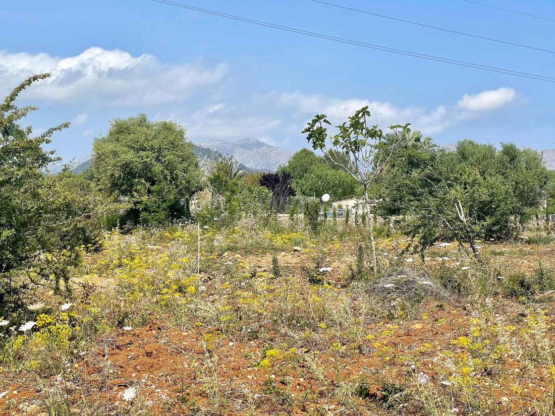 Terreno a Pollença, Isole Baleari, Spagna 2 - 12927716