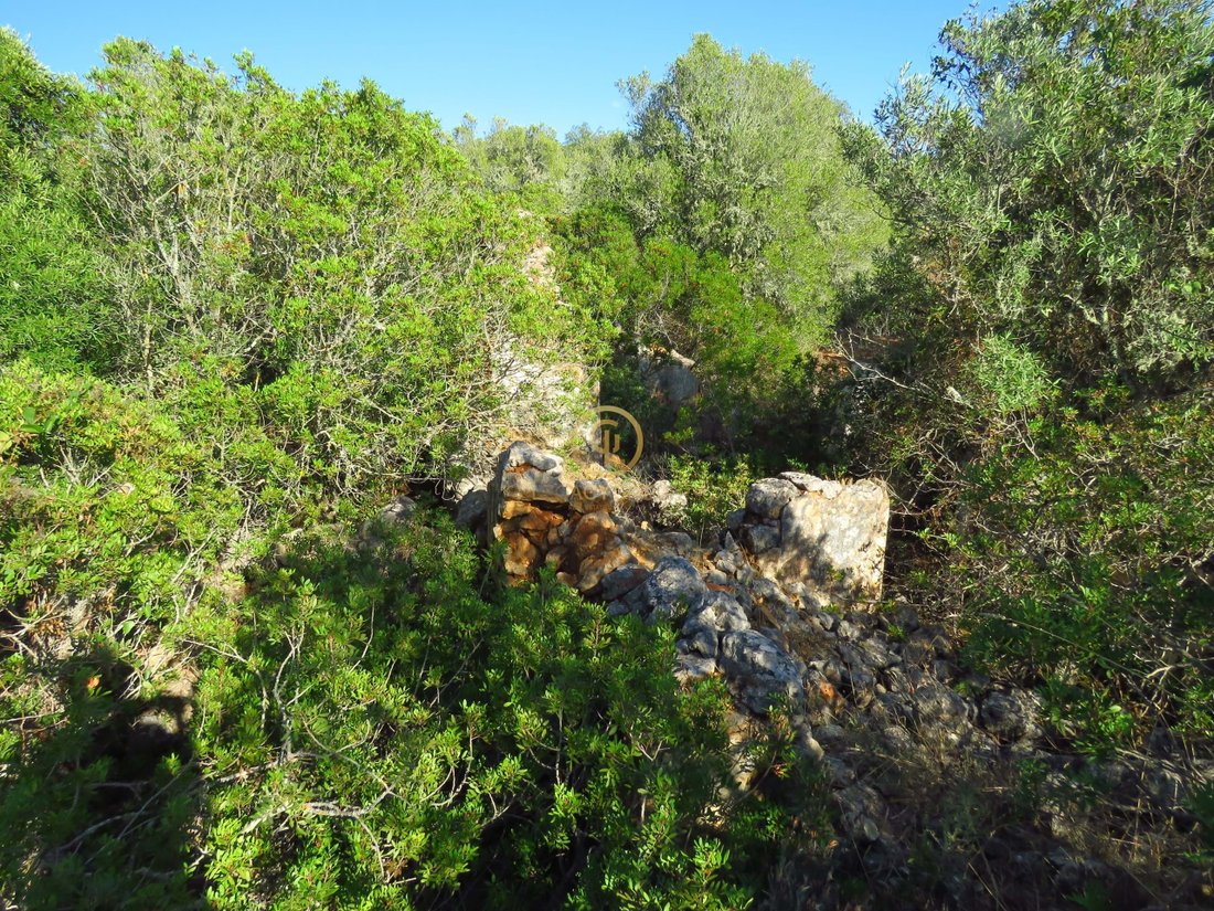 Rustic Land With 2 Urban Numbers For Sale 193.260 M2 In Faro, Algarve