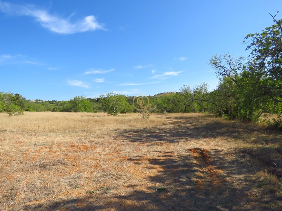 Urban And Rustic Land For Sale 375,000 M2 Goldra De In Faro, Algarve