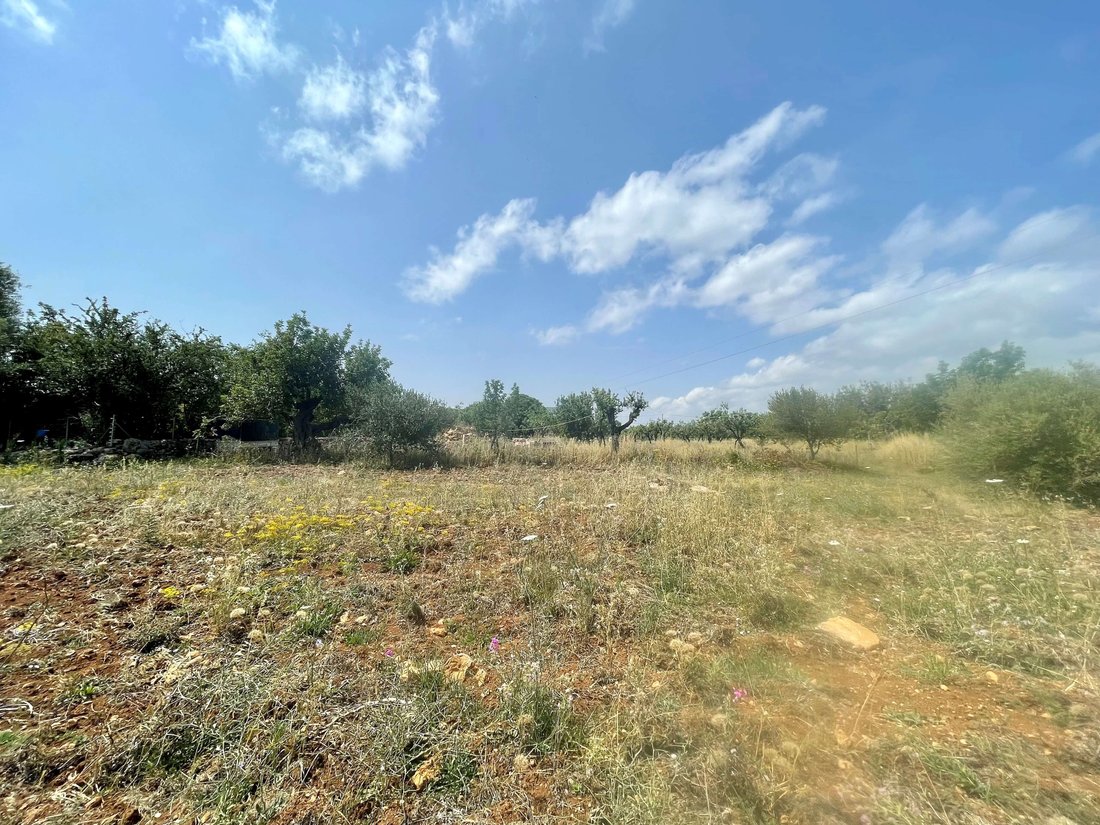 Terreno a Pollença, Isole Baleari, Spagna 1 - 12927716