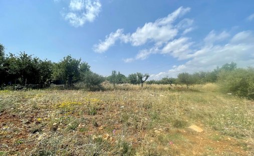 Terreno a Pollença, Isole Baleari, Spagna 1