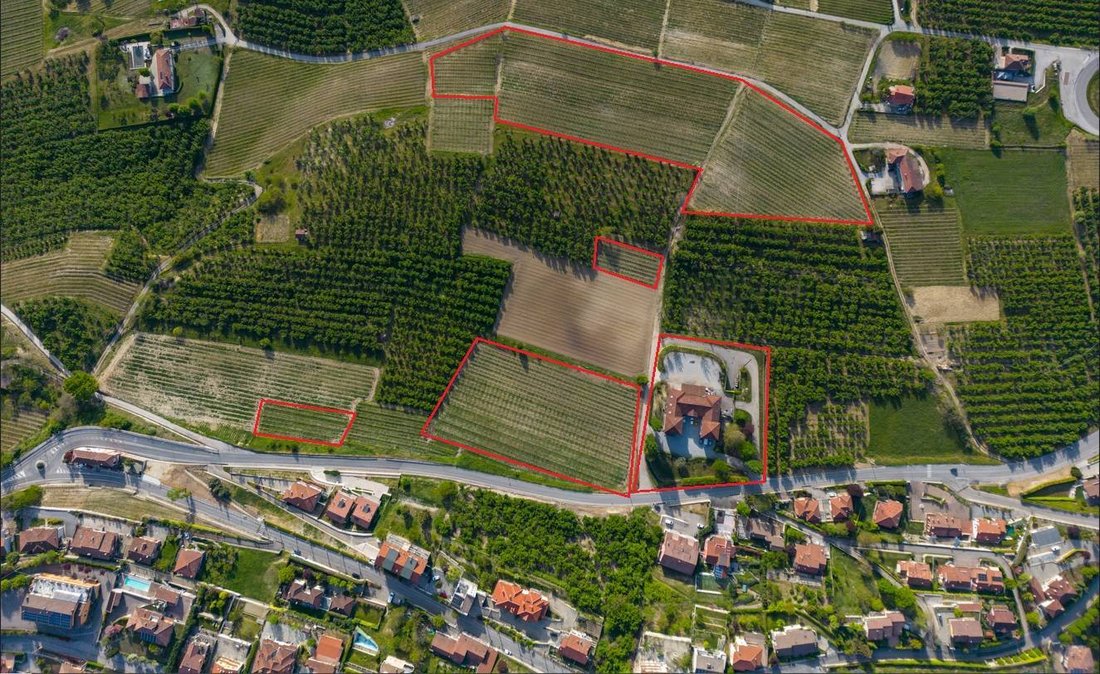Farm Ranch in Alba, Piedmont, Italy 5 - 12928862
