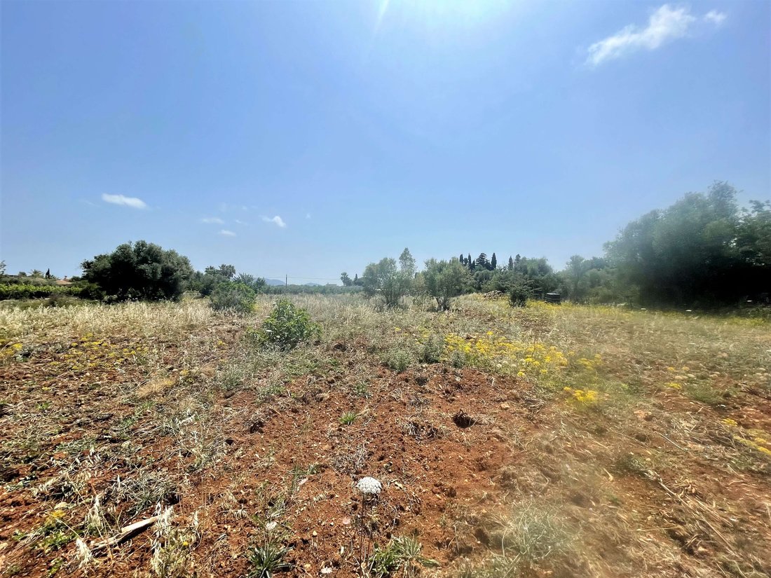 Terreno a Pollença, Isole Baleari, Spagna 3 - 12927716