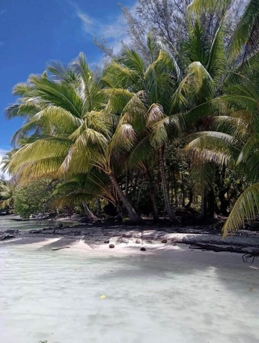 Bora Bora, Leeward Islands, French Polynesia 2 - 12841724