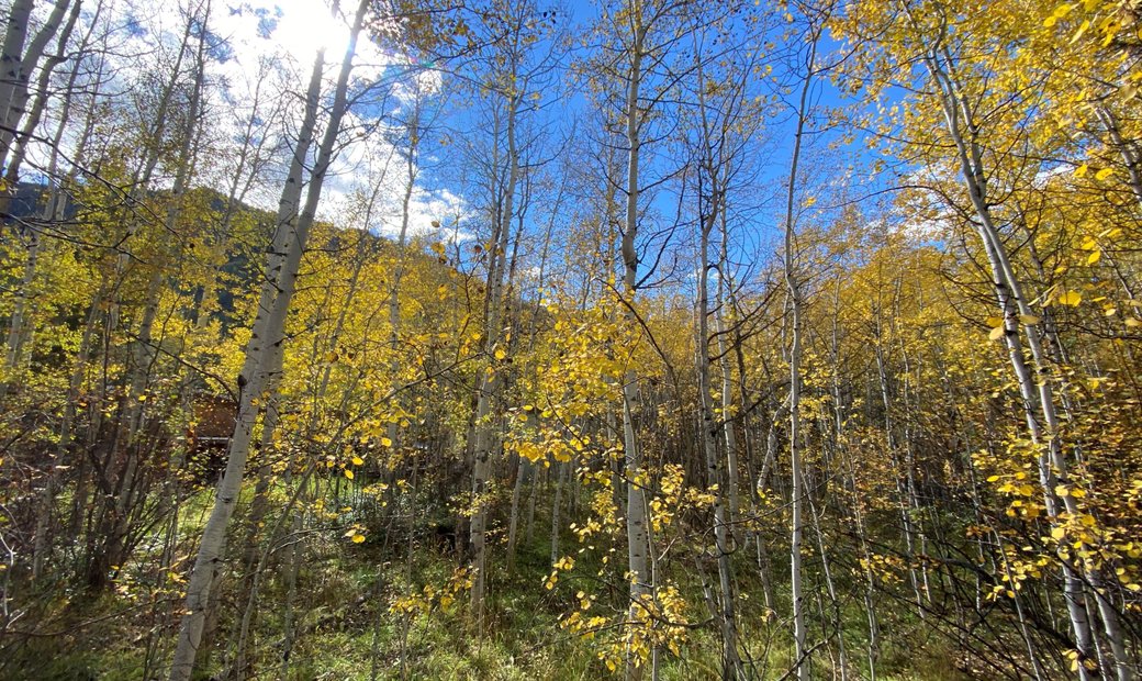 Land Aspen In Aspen, Colorado, United States For Sale (12936425)
