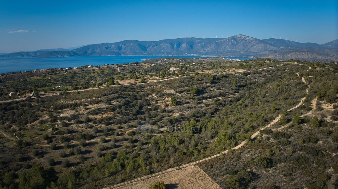 Land in Koinotita Kranidiou, Kranidi, Greece 4 - 12936106