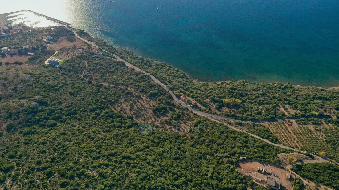 Land in Pylos and Nestor, Peloponnese, Western Greece and the Ionian, Greece 1 - 12936096