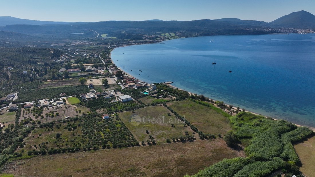 Land in Pylos and Nestor, Peloponnese, Western Greece and the Ionian, Greece 1 - 12936099