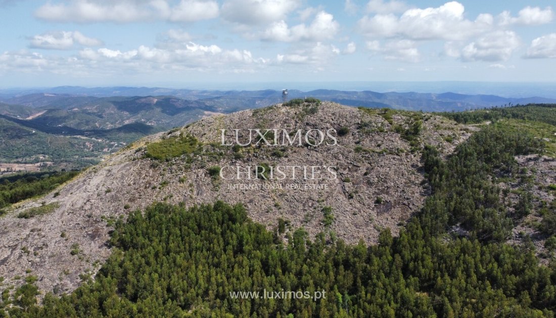 Land in Monchique, Algarve, Portugal 5 - 12894844