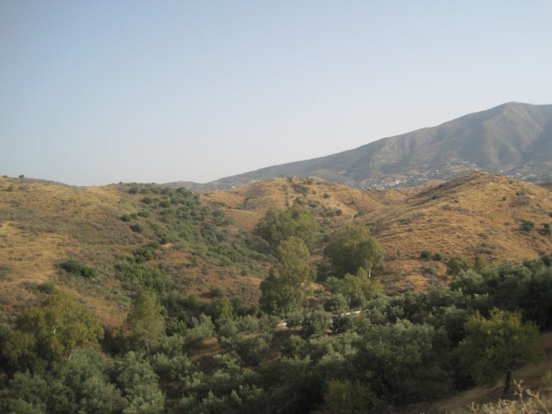 Azienda agricola a Mijas, Andalusia, Spagna 1 - 12946830