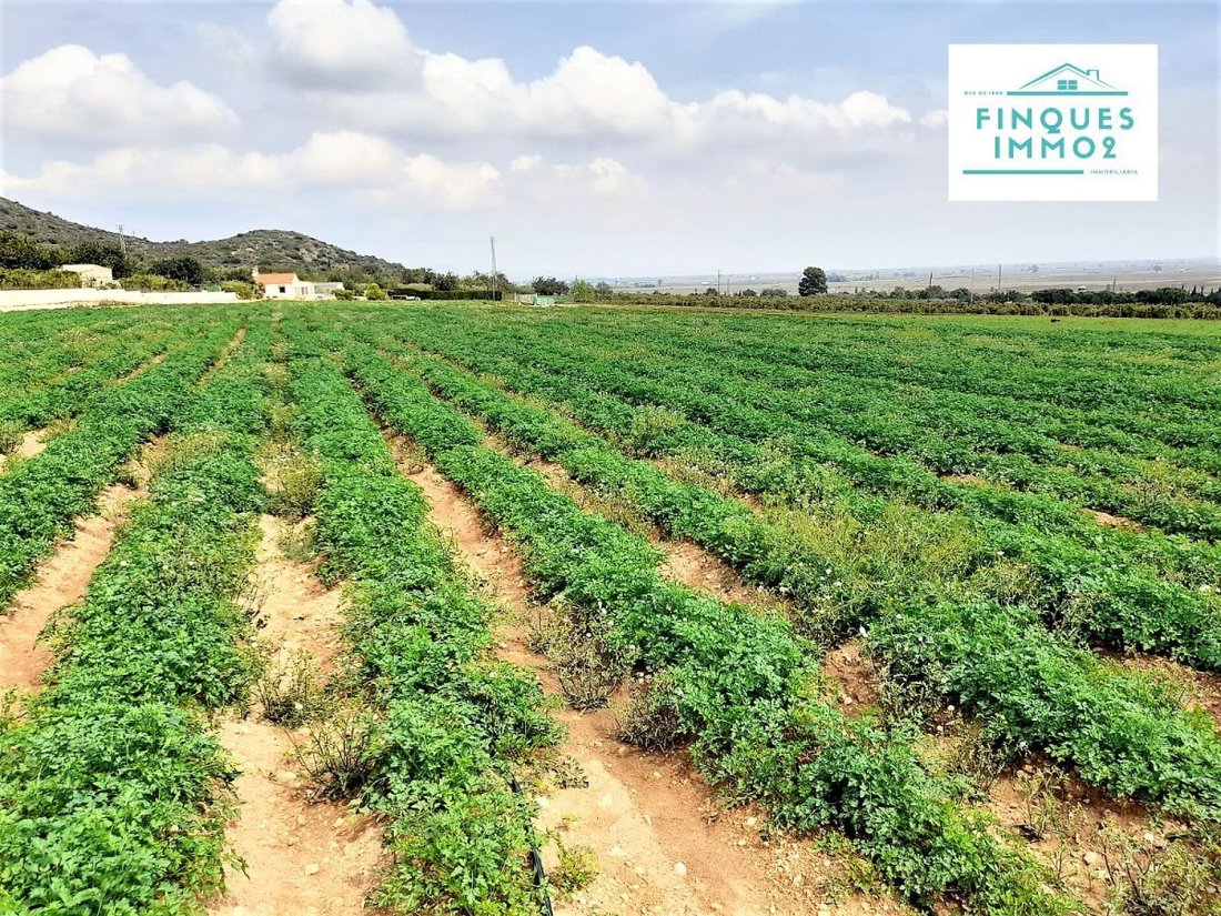 Farm Ranch in Amposta, Catalonia, Spain 1 - 12946884