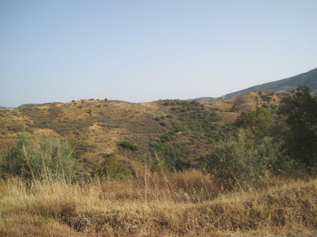 Azienda agricola a Mijas, Andalusia, Spagna 3 - 12946830