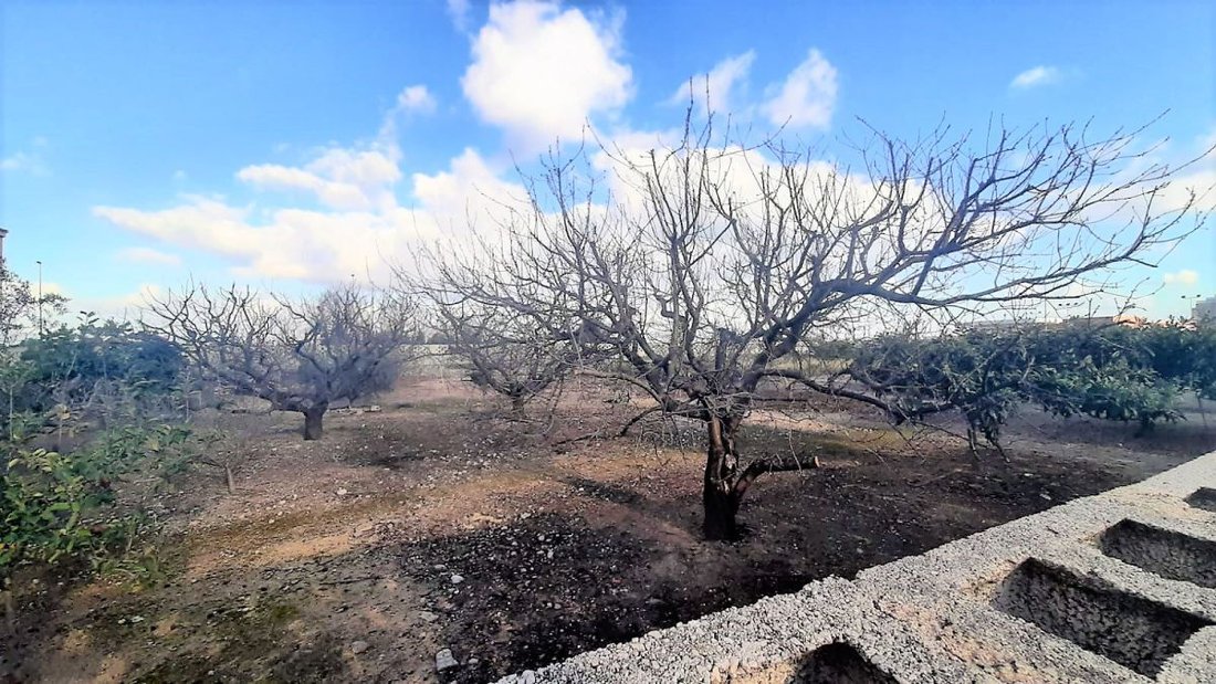 Land in Miramar, Valencian Community, Spain 4 - 12946886