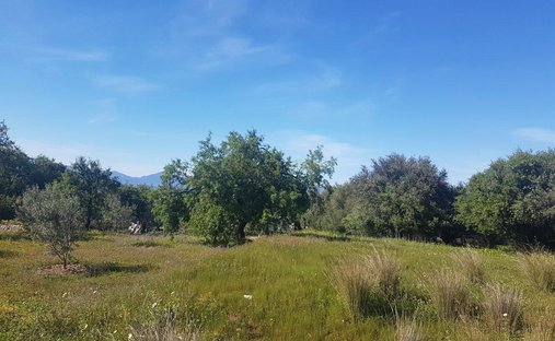 Farm Ranch in Alhaurin el Grande, Andalusia, Spain 1