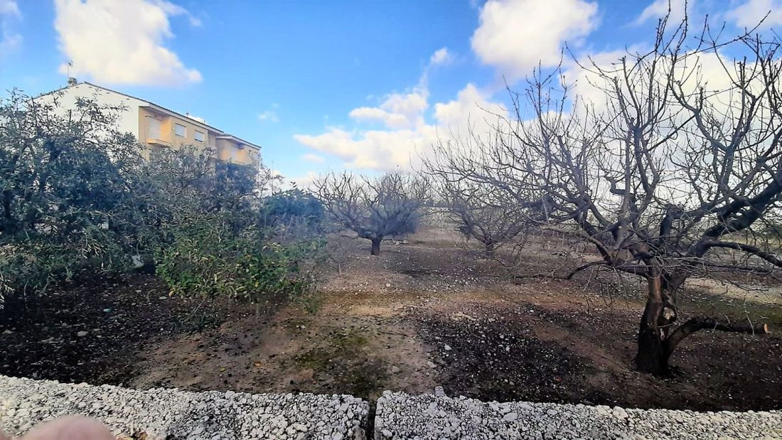 Land in Miramar, Valencian Community, Spain 2 - 12946886