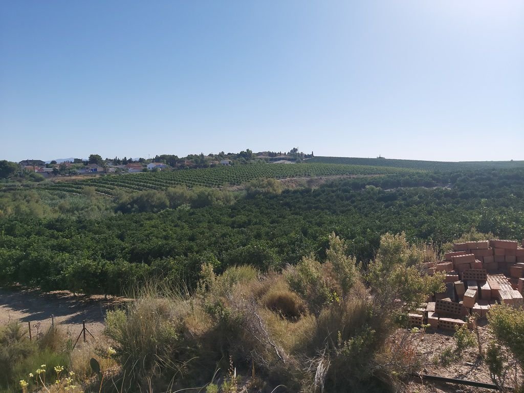 Finca in Molina de Segura, Región de Murcia, Spain 2 - 12946981