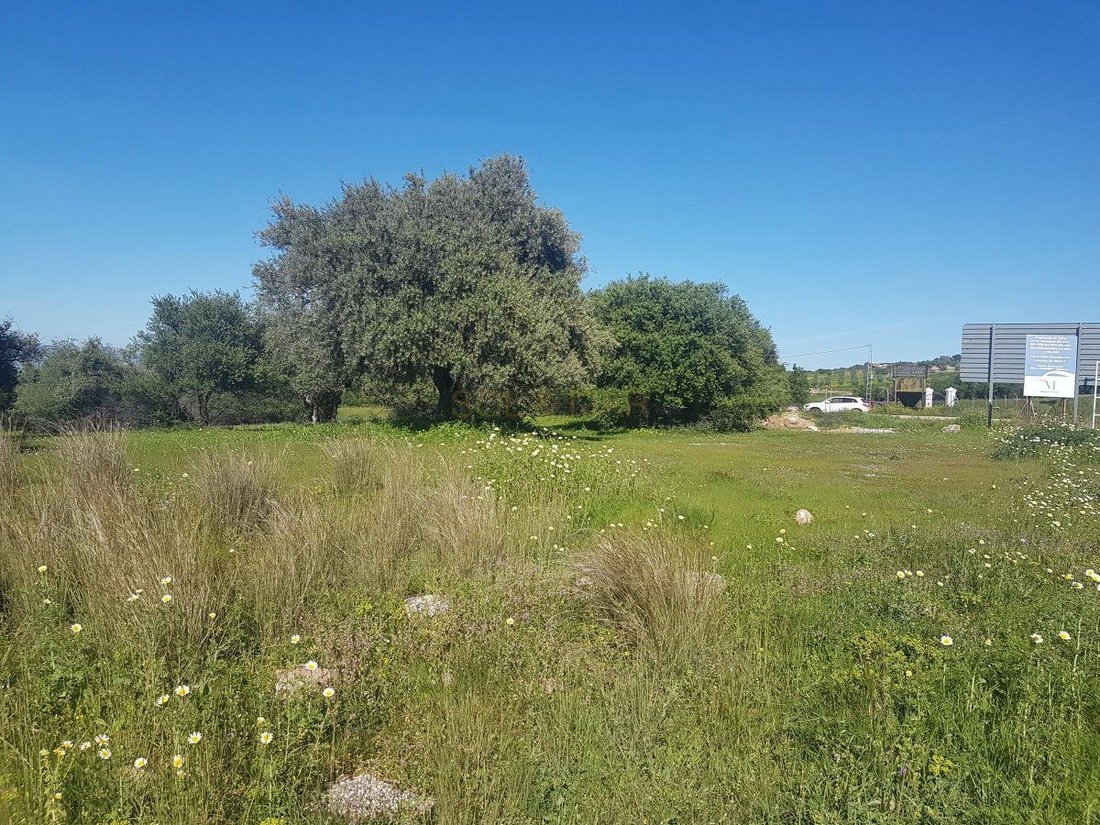 Farm Ranch in Alhaurin el Grande, Andalusia, Spain 4 - 12946678