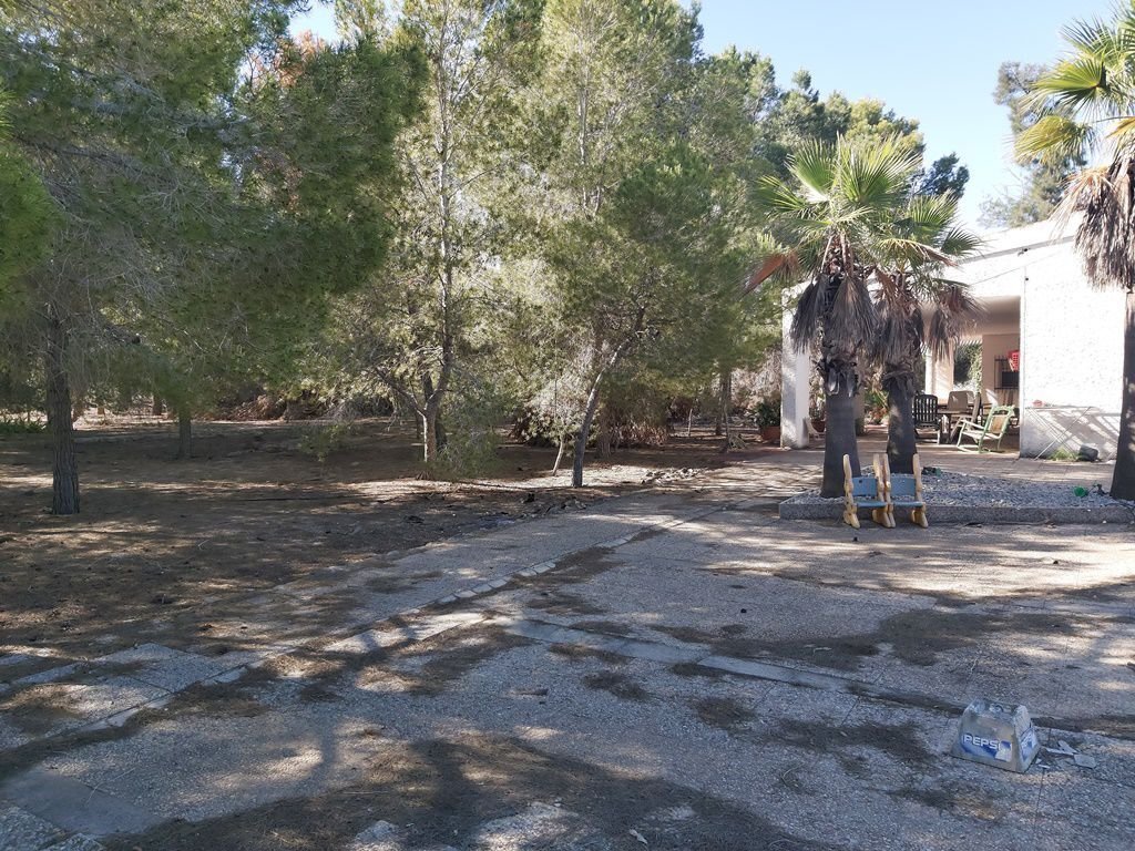 Finca in Molina de Segura, Región de Murcia, Spain 4 - 12946981