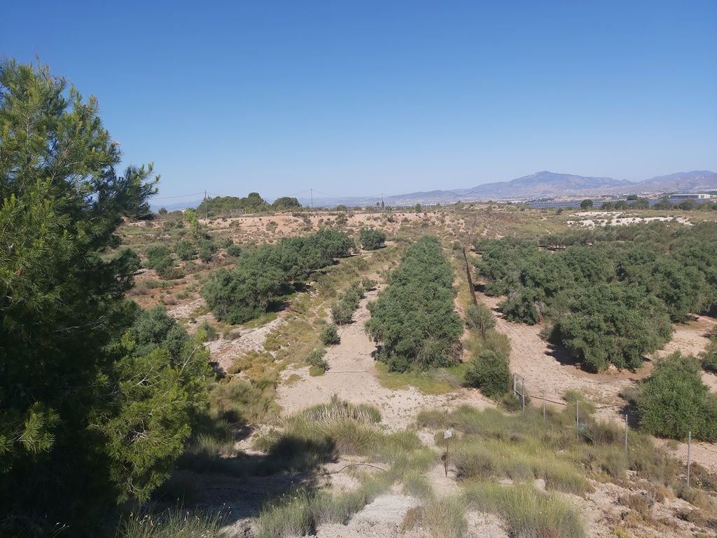 Finca in Molina de Segura, Región de Murcia, Spain 1 - 12946981