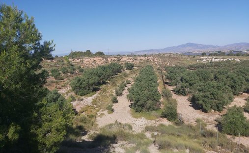 Finca a Molina de Segura, Murcia, Spagna 1