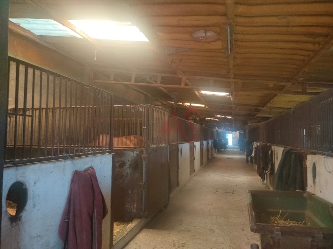 Farm Ranch in Fermentoes, Braga, Portugal 5 - 12948341