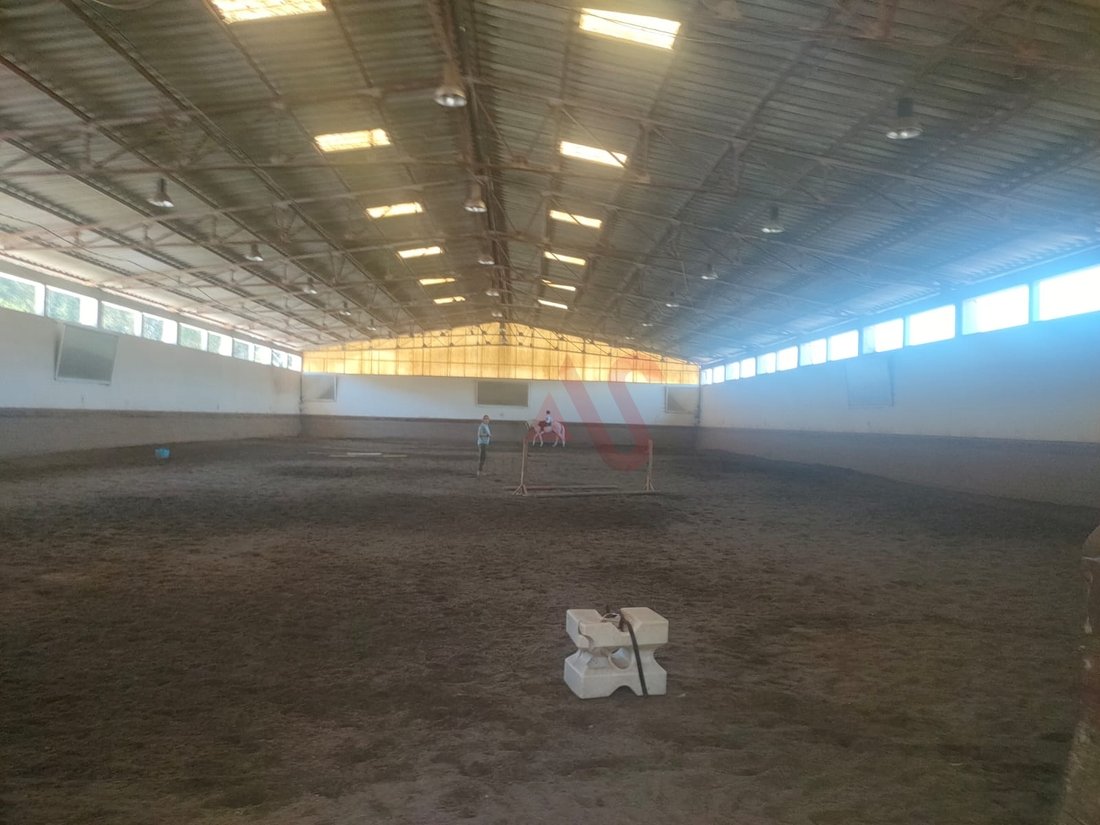 Farm Ranch in Fermentoes, Braga, Portugal 3 - 12948341