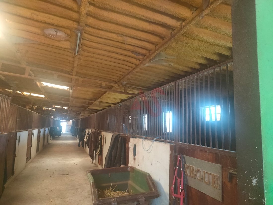 Farm Ranch in Fermentoes, Braga, Portugal 4 - 12948341