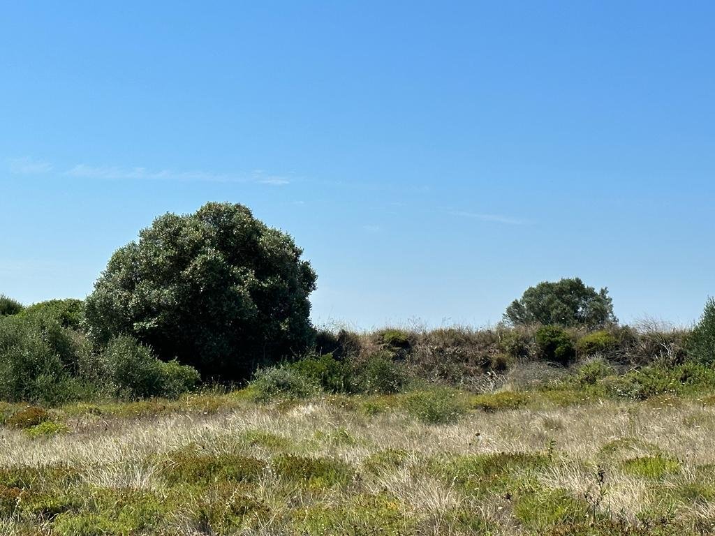 Land in Sesimbra (Castelo), Setubal, Portugal 5 - 12949845