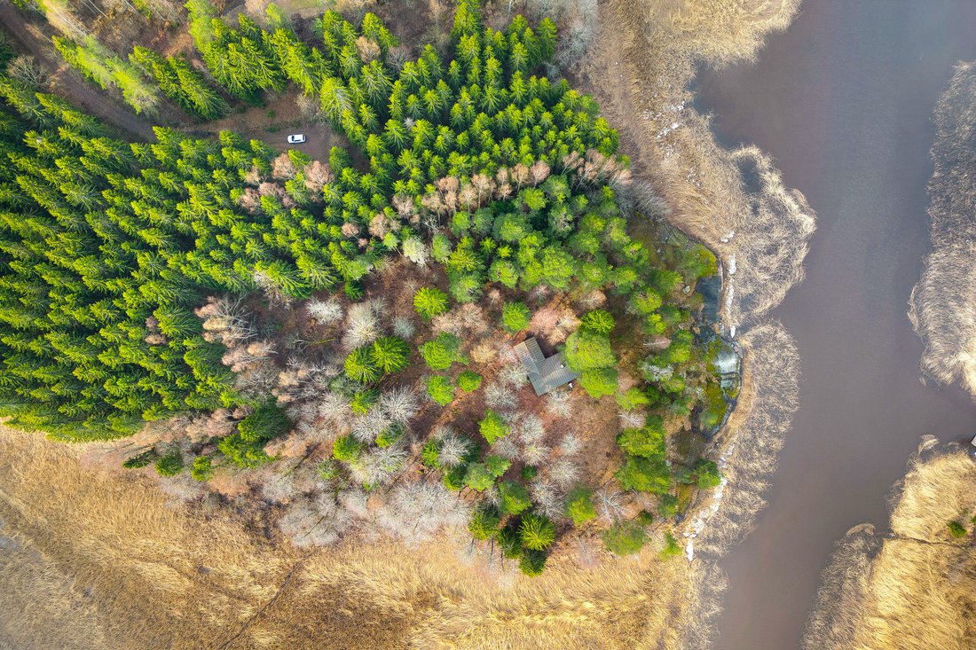 Land in Helsinki, Uusimaa, Finland 2 - 12410772