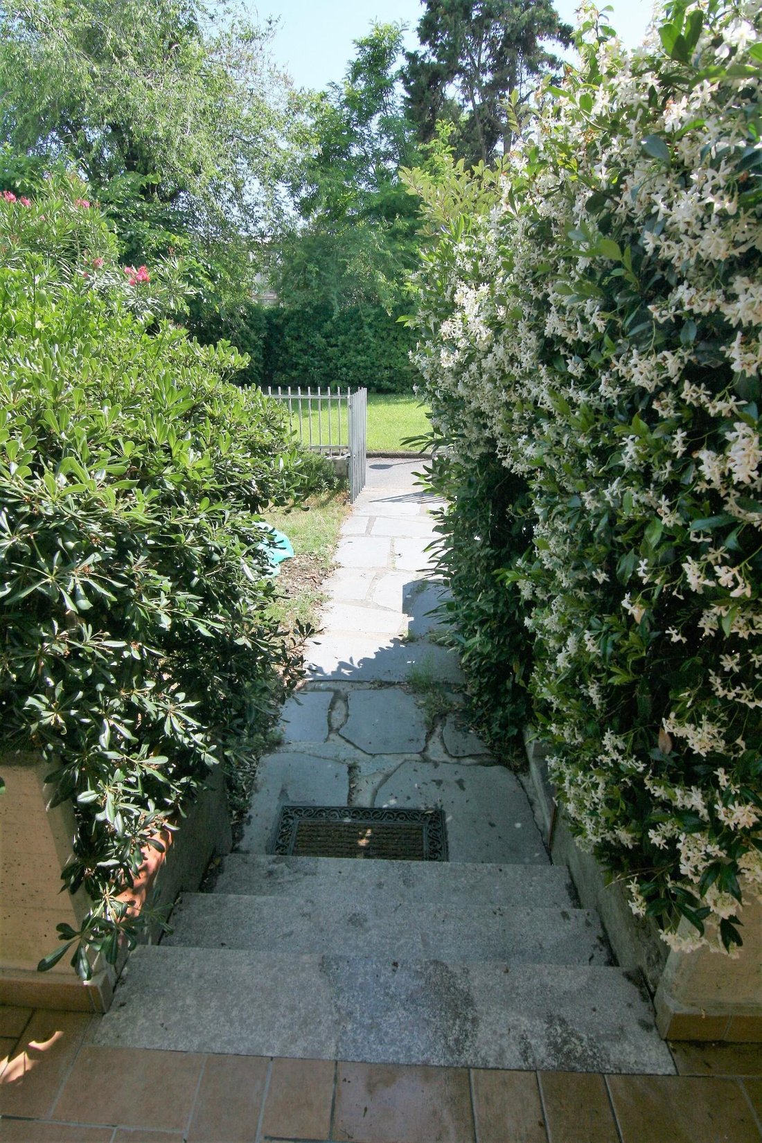 Apartment in Marina di Carrara, Tuscany, Italy 1 - 12951997