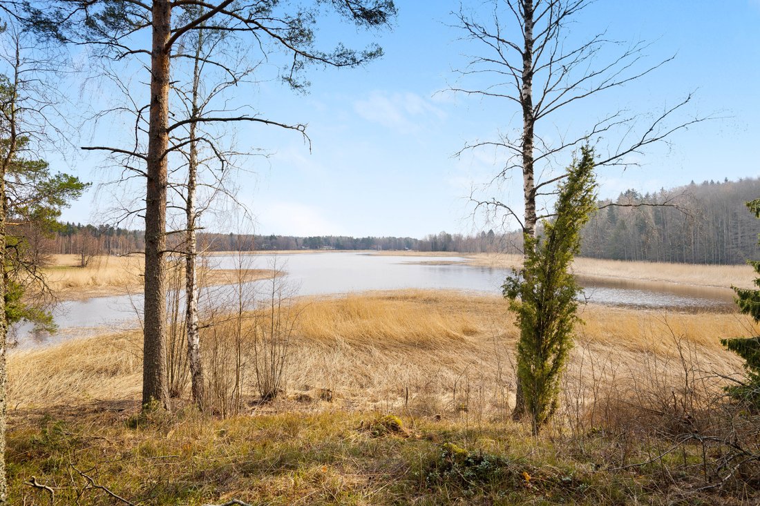 Land in Helsinki, Uusimaa, Finland 3 - 12410772