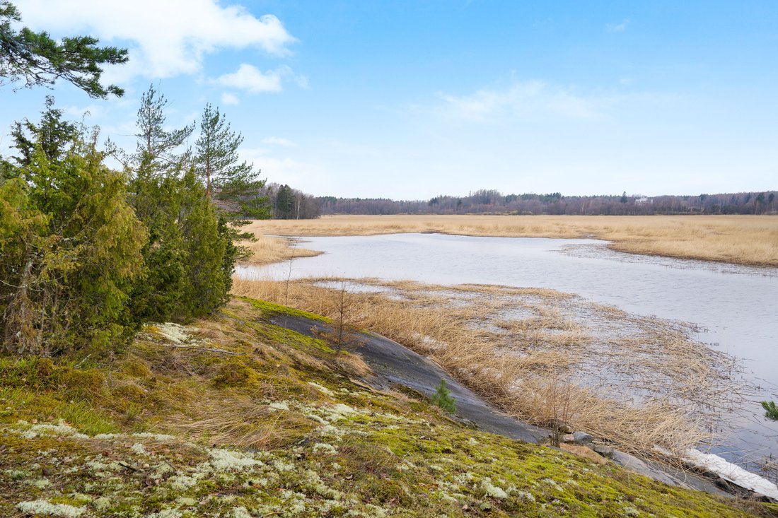 Land in Helsinki, Uusimaa, Finland 5 - 12410772
