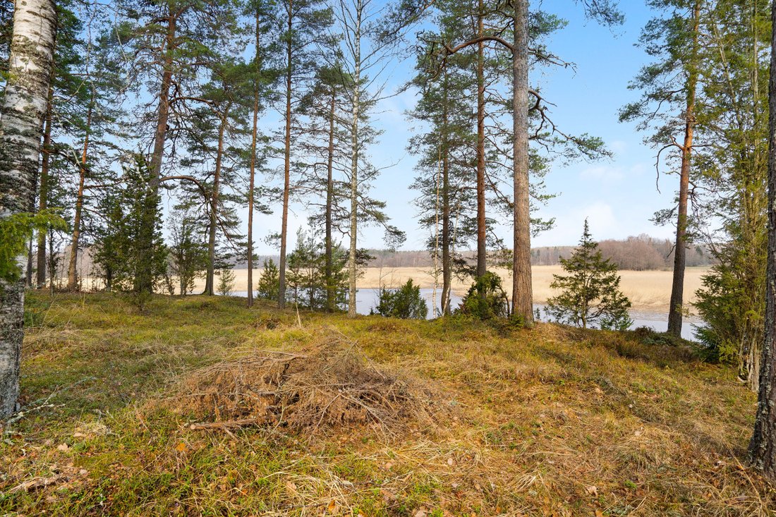 Land in Helsinki, Uusimaa, Finland 4 - 12410772