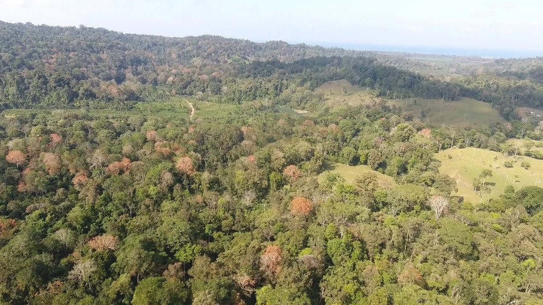 Limón House In Limon, Limón, Costa Rica For Sale (12956242)