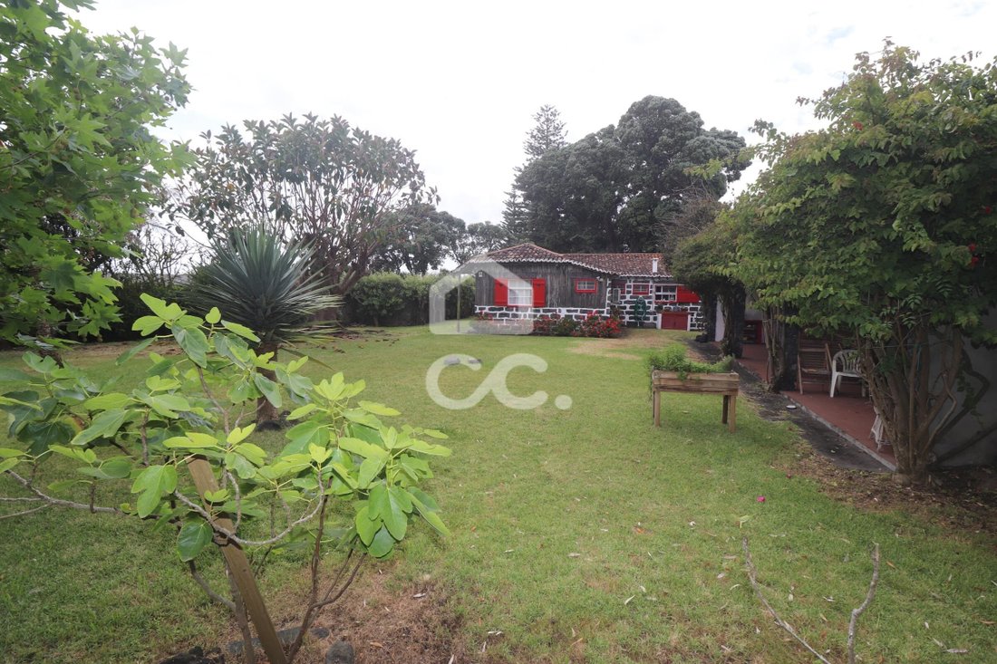 House With 3 Bedrooms Face Of The Dog In Ponta Delgada, Azores