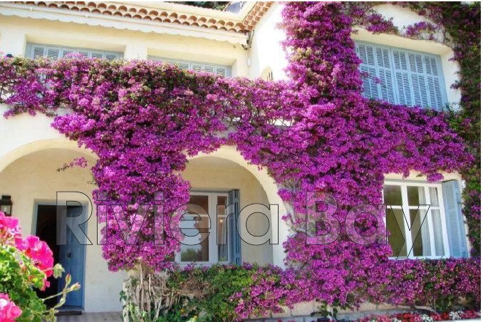 Villa in Le Port, Villefranche-sur-Mer, France 4 - 12958733