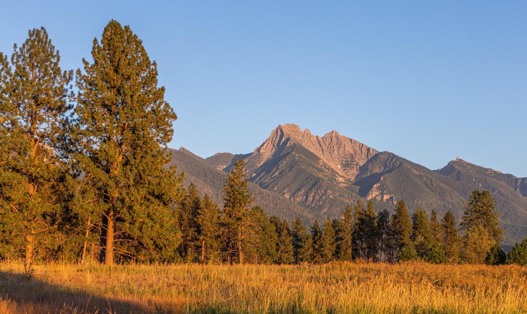 60+ Acres With Spectacular Views In Rollins, Montana, United States For