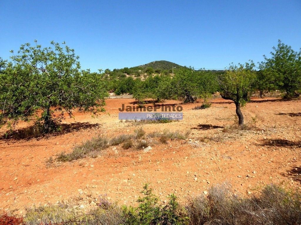 Faro Farm In Estói, Algarve, Portugal For Sale (12962694)