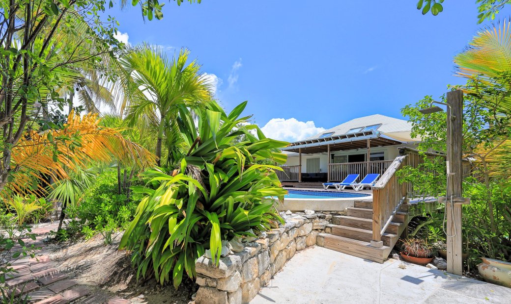 Hummingbird In Leeward Settlement, Caicos Islands, Turks And Caicos