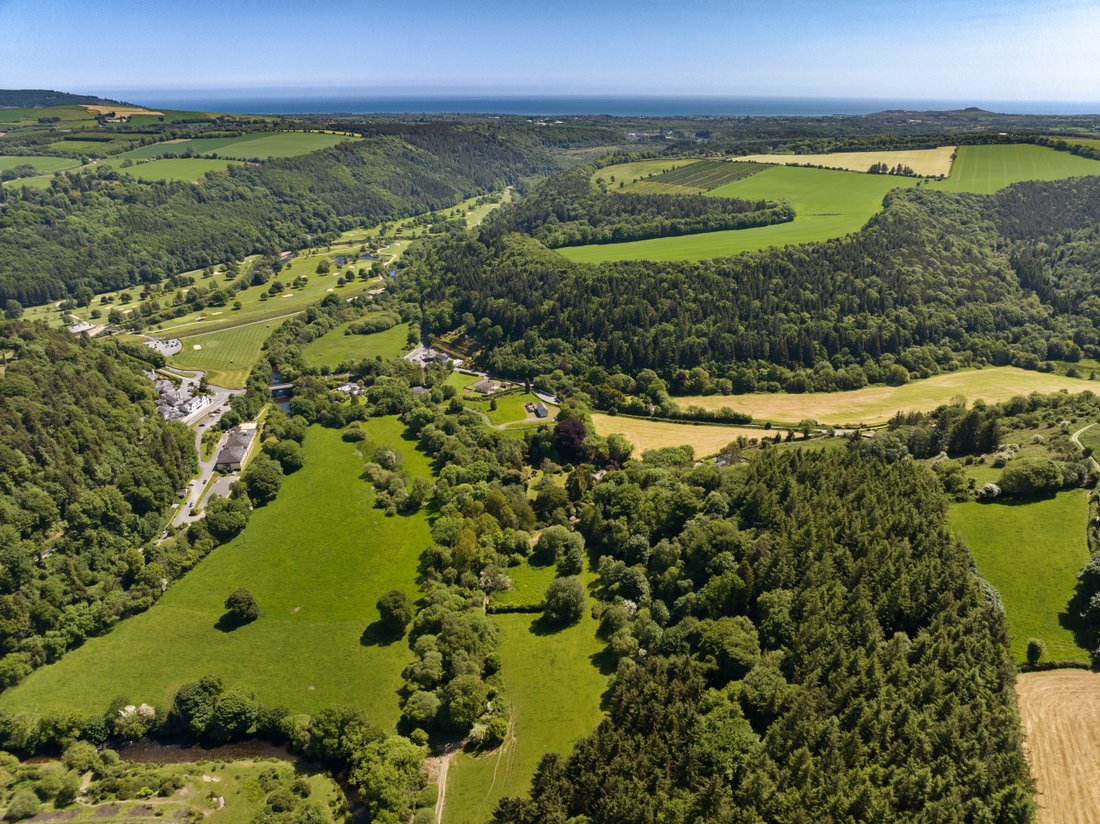 Glebe House In Woodenbridge, County Wicklow, Ireland For Sale (12961496)