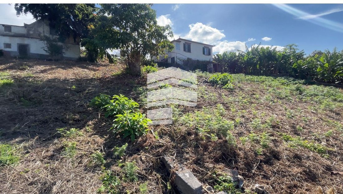 Funchal Land In Funchal, Madeira, Portugal For Sale (12878402)