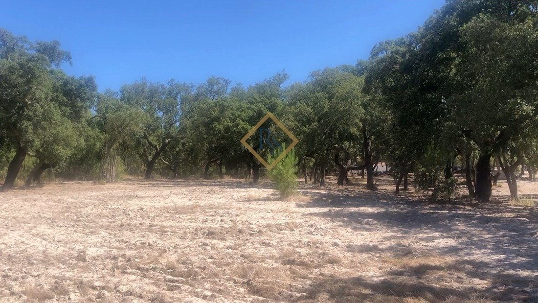 Land in Melides, Setubal, Portugal 4 - 12700079